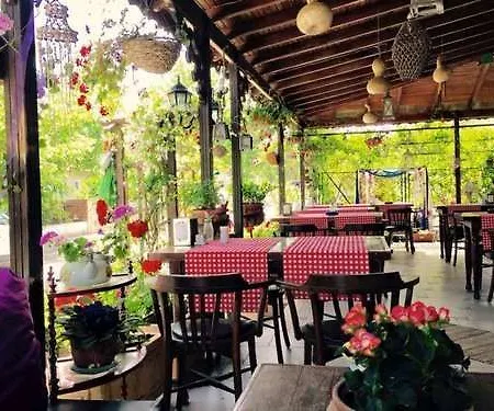 Melodi Hotel